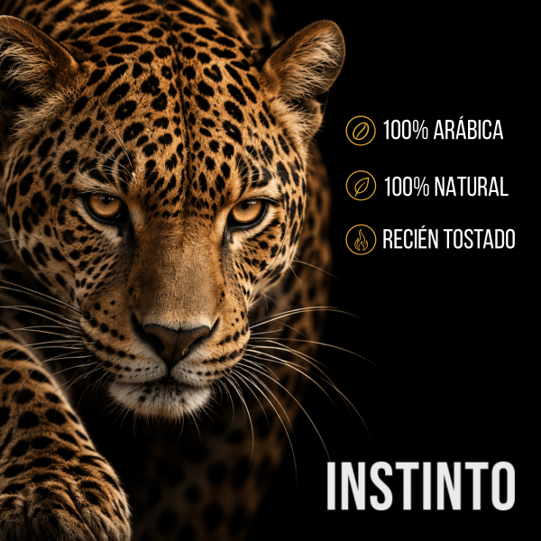 Café en grano 500 g | 100% Arábica | INSTINTO